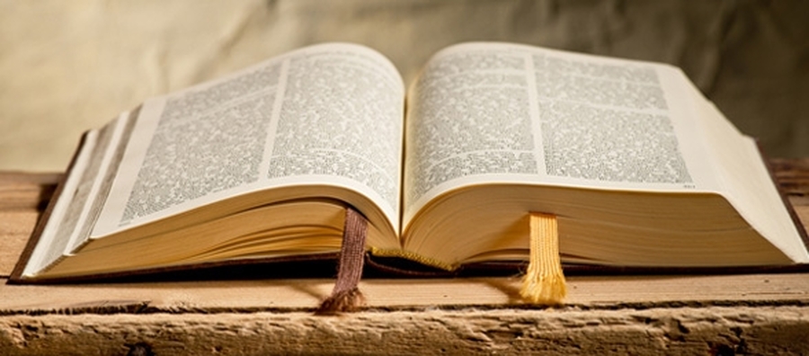 Día de la Biblia