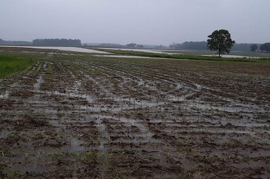 Prevén un trimestre con lluvias para el centro y este del país
