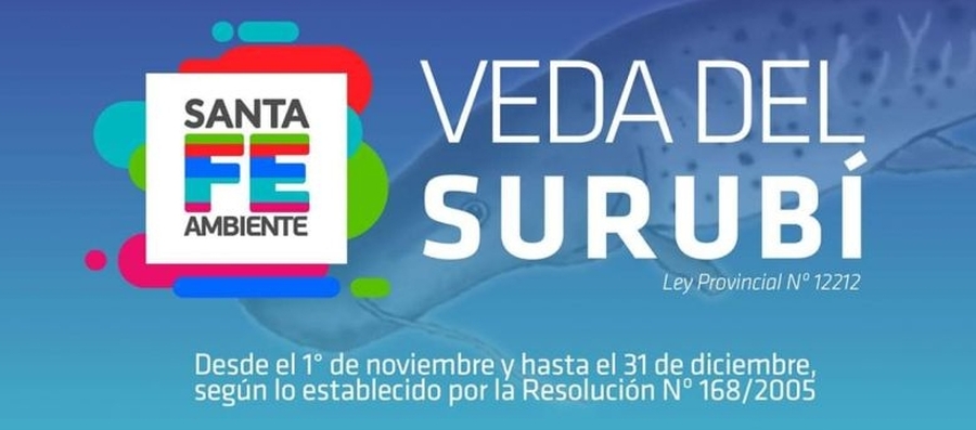 Rige la veda para la pesca del surubí