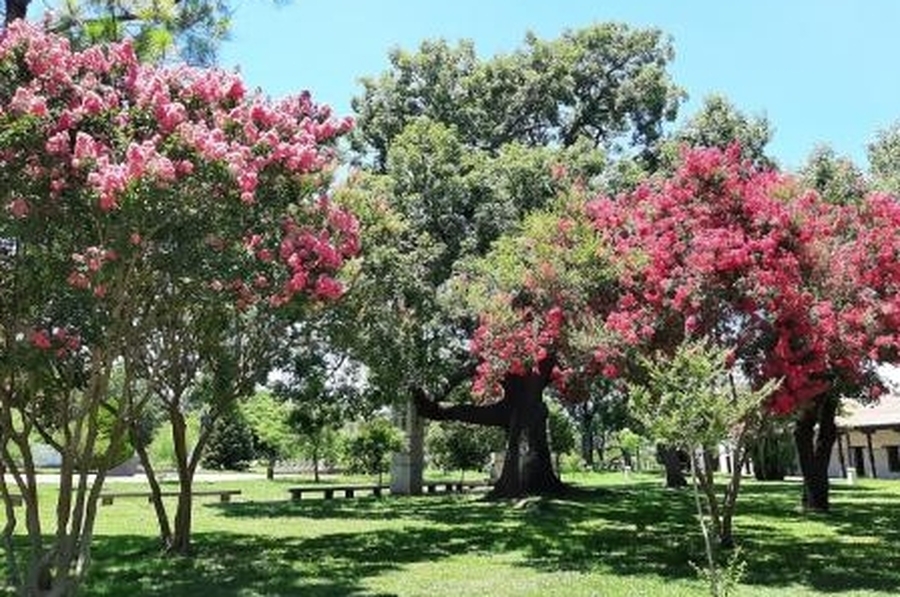 La primavera llega con calor y sin pronóstico de lluvia