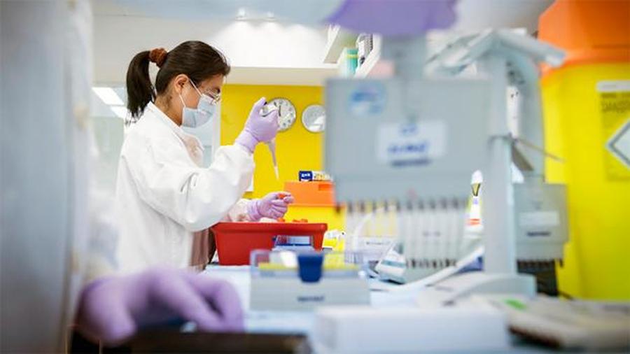 AstraZeneca anunció que su vacuna contra el covid-19 mostró un 70% de eficacia