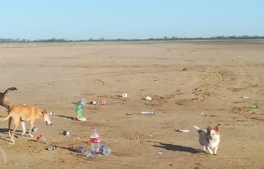 Así quedó El Chaquito después de la última fiesta