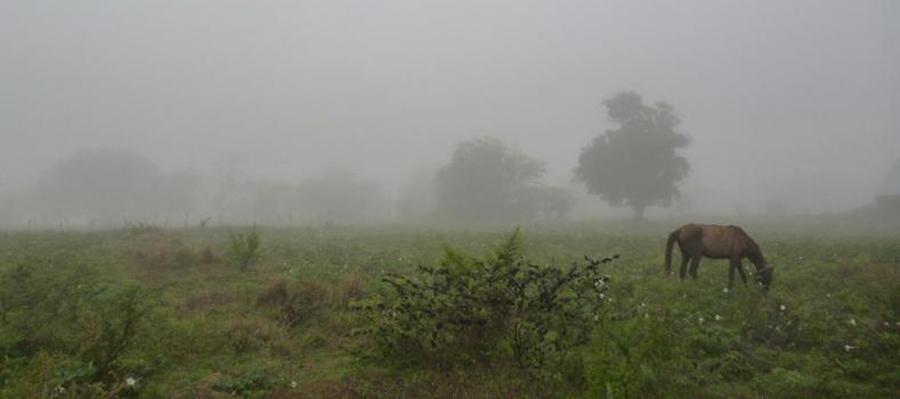 En medio de la sequía y las quemas, se registraron lluvias en el sur, centro y norte de la provincia