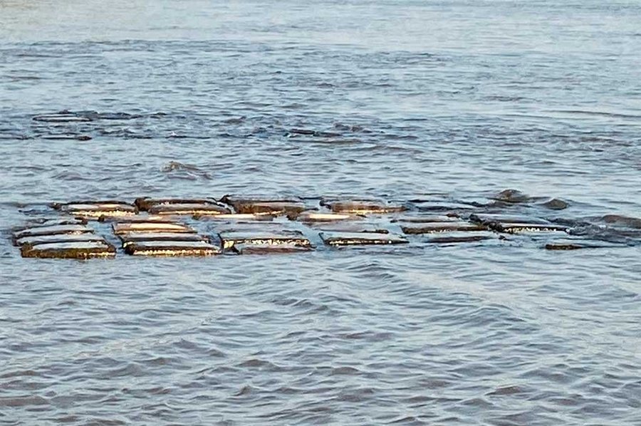 Por una propuesta del Gobierno de Santa Fe, se redujo un 50% el cupo de exportación de especies de río para el resto de 2020