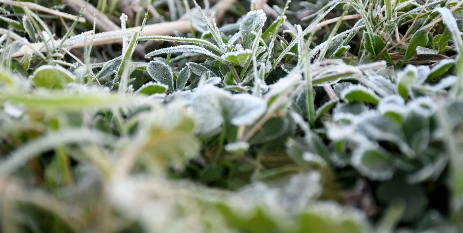 Ola polar: pronóstico para este martes