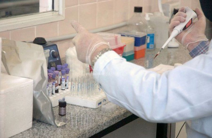 Los santafesinos podrán consultar el resultado de su hisopado on-line
