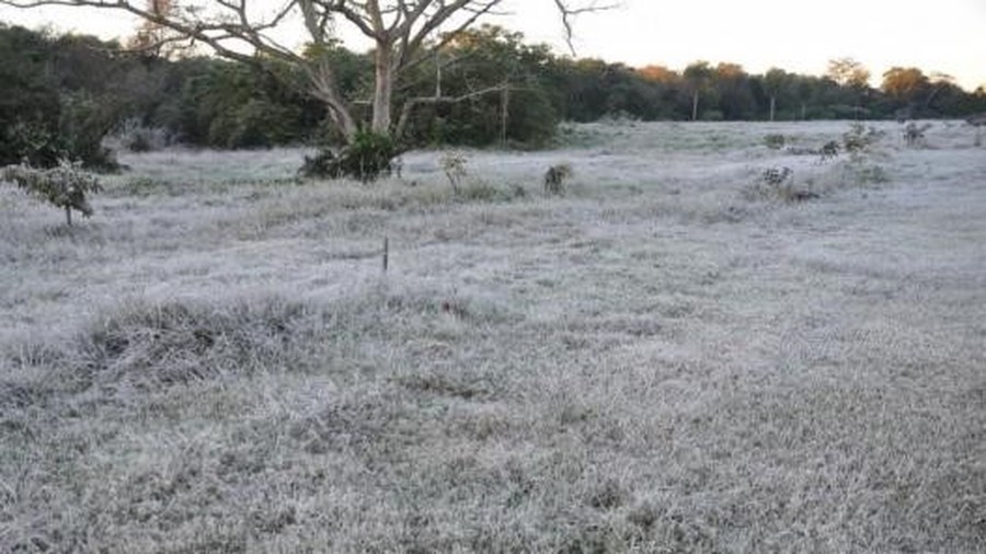 Jueves helado: se registraron temperaturas bajo cero en Santa Fe