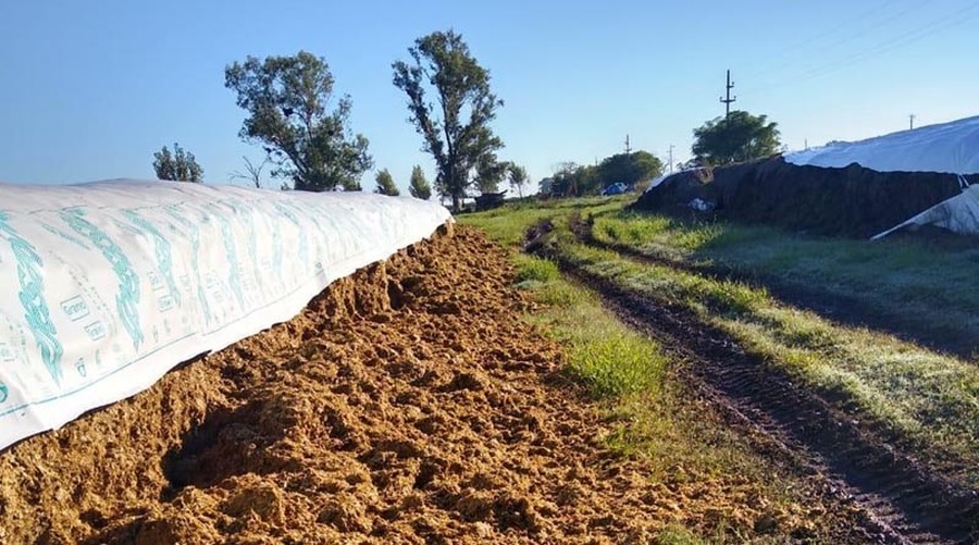 Rompieron once silobolsas en un campo de Sa Pereira