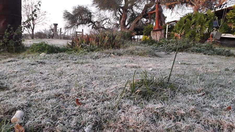 Con temperaturas bajo cero en toda la región, fotografiaron bebederos congelados en el norte santafesino