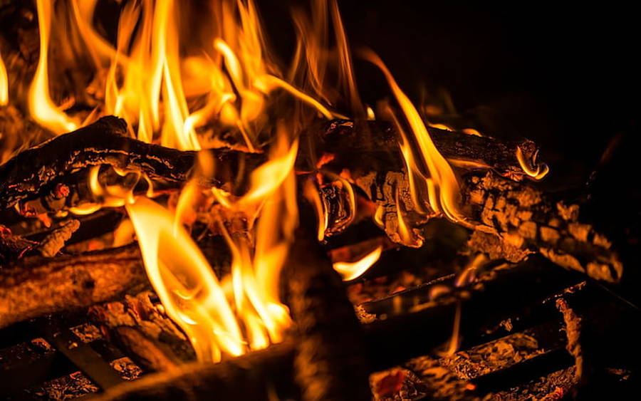 Carbón que ha sido brasa, puede volver a ser fuego...