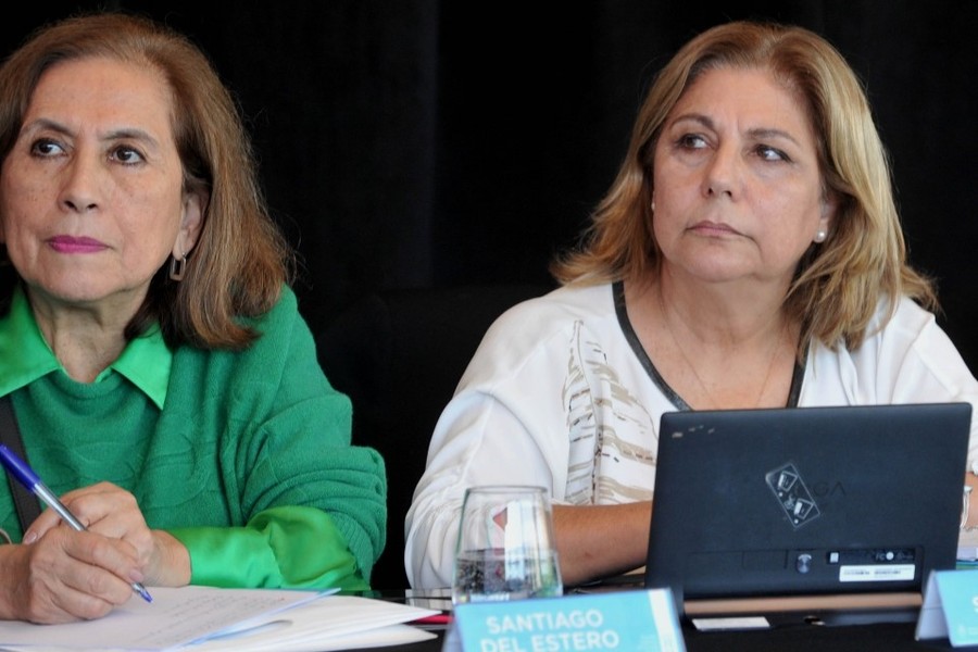 Martorano participó del Consejo Federal de Salud
