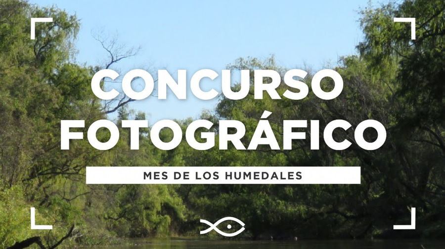 El Acuario del Río Paraná convoca al concurso fotográfico: “Retratos del Humedal”