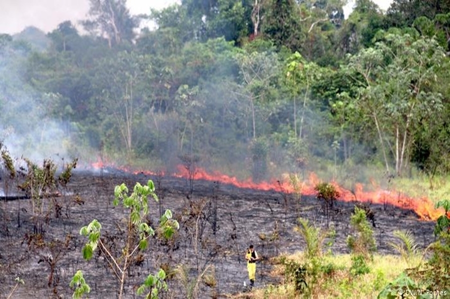 Incendios: cómo es la situación en Santa Fe y en otras provincias
