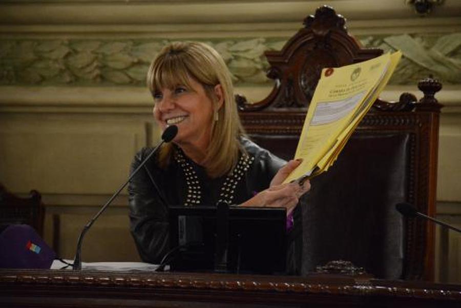 Paridad de Género y ART se convirtieron en ley en la Legislatura