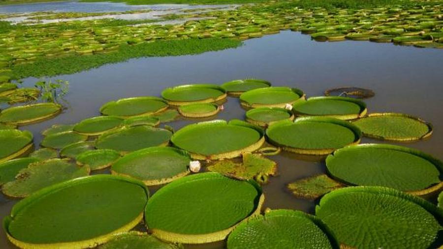 El turismo santafesino se prepara para las “pequeñas escapadas”
