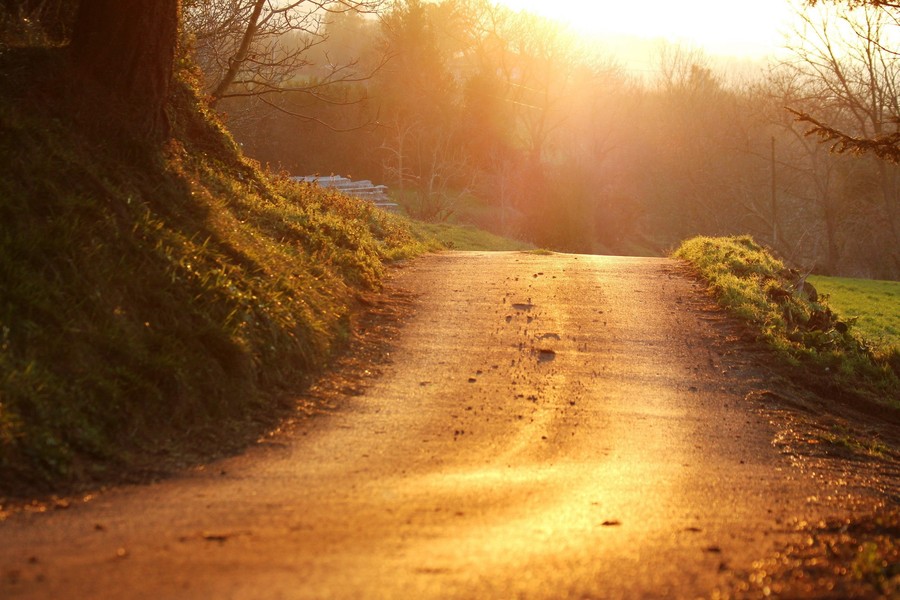 Se hace camino al andar...