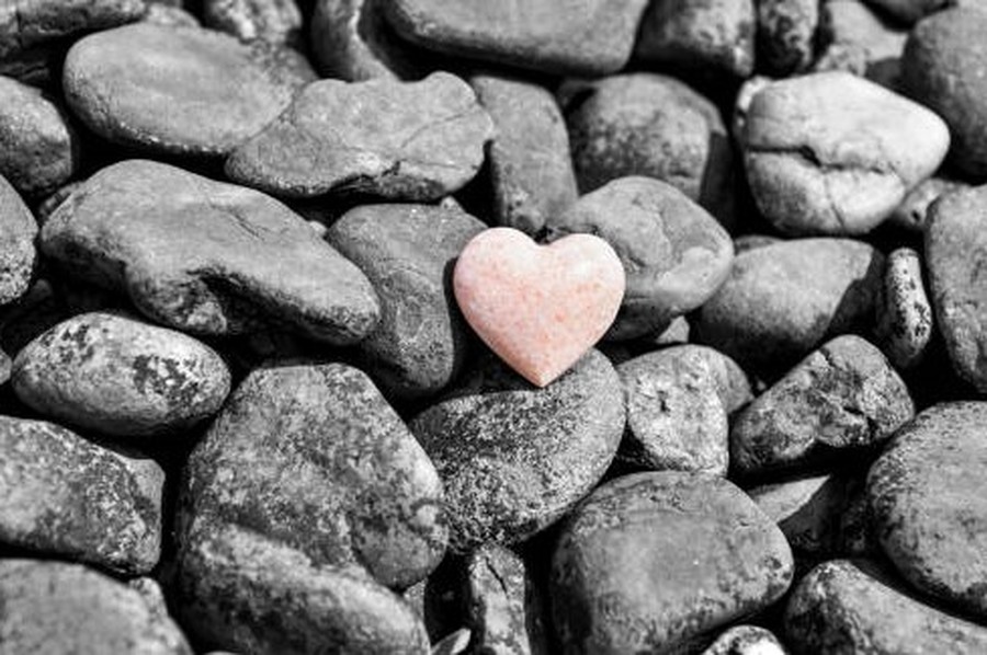 La fuerza del corazón...