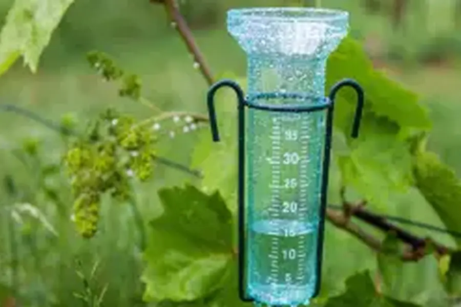 Reconquista registró 17 milímetros de lluvia y hubo precipitaciones en distintas localidades del norte santafesino