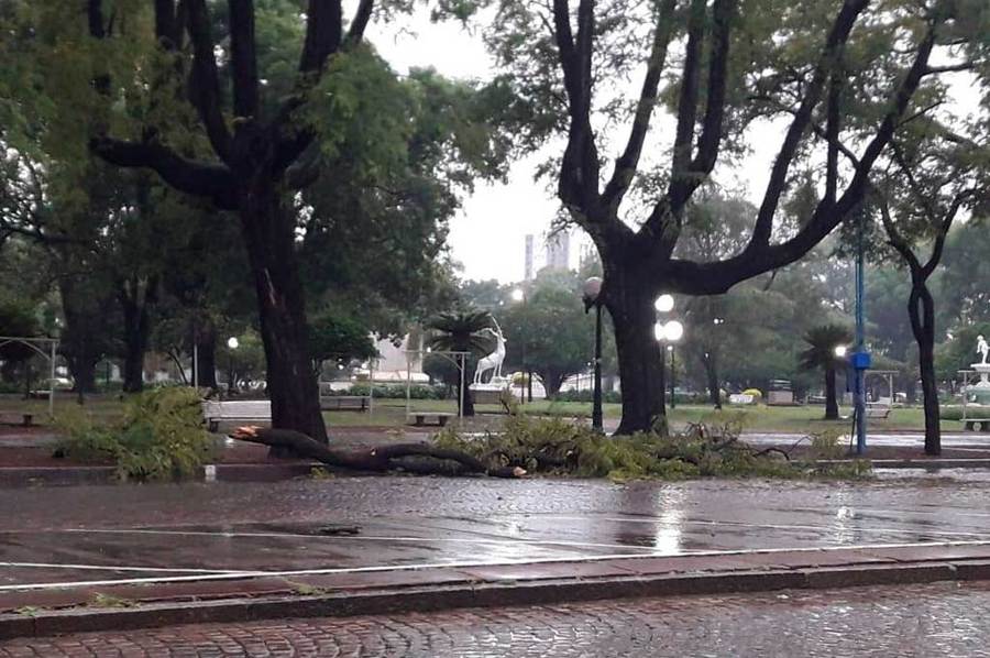 Fuerte tormenta azotó a la ciudad de Rafaela