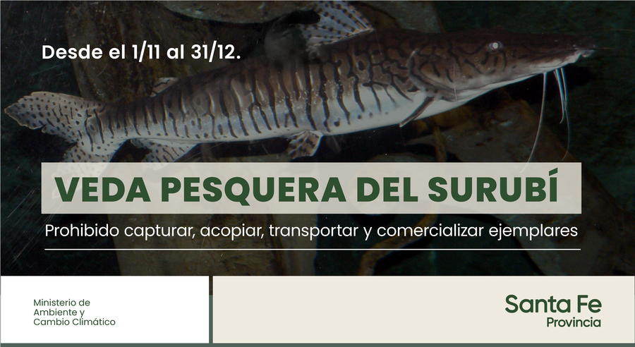 La provincia recuerda que desde el 1 de noviembre rige la veda de pesca del surubí