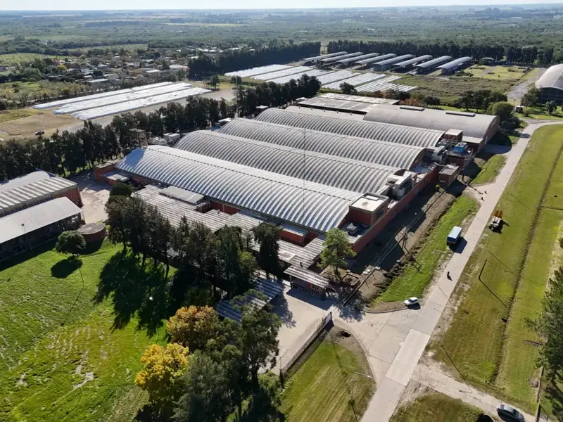 Algodonera Avellaneda: el juez Lorenzini abrió el salvataje ante la falta de mayorías y crece la incertidumbre sobre el futuro de la empresa