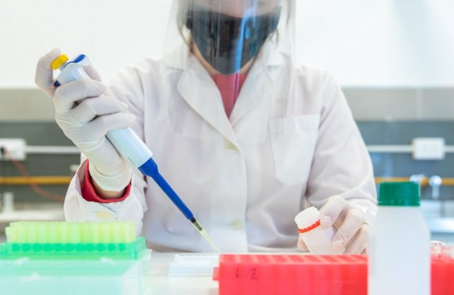 Investigadores de la UNL estudian anticuerpos contra Covid-19