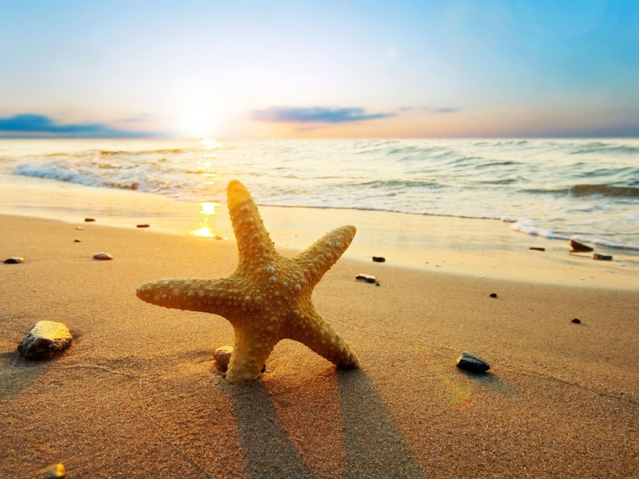 Y vos, ¿devolvés las estrellas al mar?